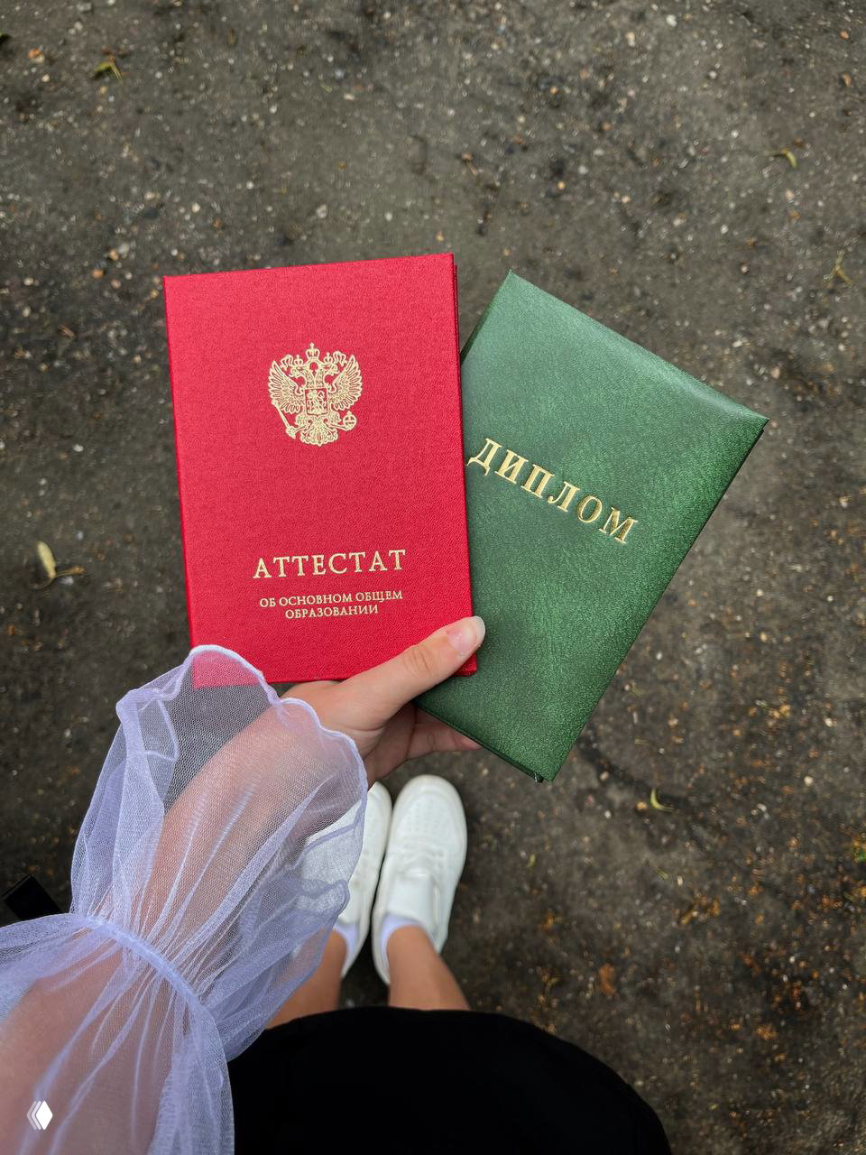 Раком снимок рук с красным аттестатом и зелёным дипломом на асфальте, видны белые кеды и прозрачный рукав выпускного платья.