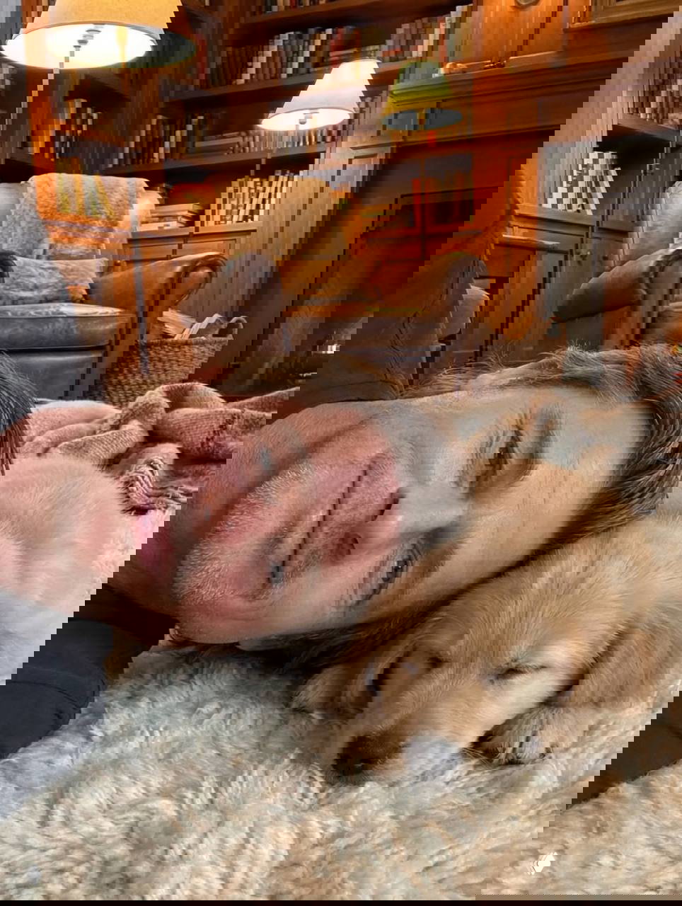 Мужчина лежит рядом с уснувшим золотистым щенком на пушистом коврике в библиотеке с кожаным креслом и камином; спокойная сцена.