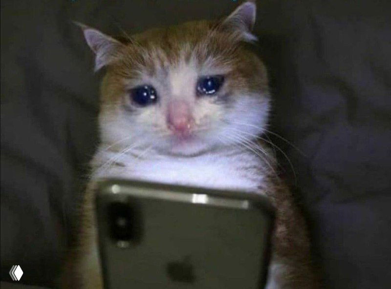 Наблюдаются сбои в работе мобильного интернета и Telegram