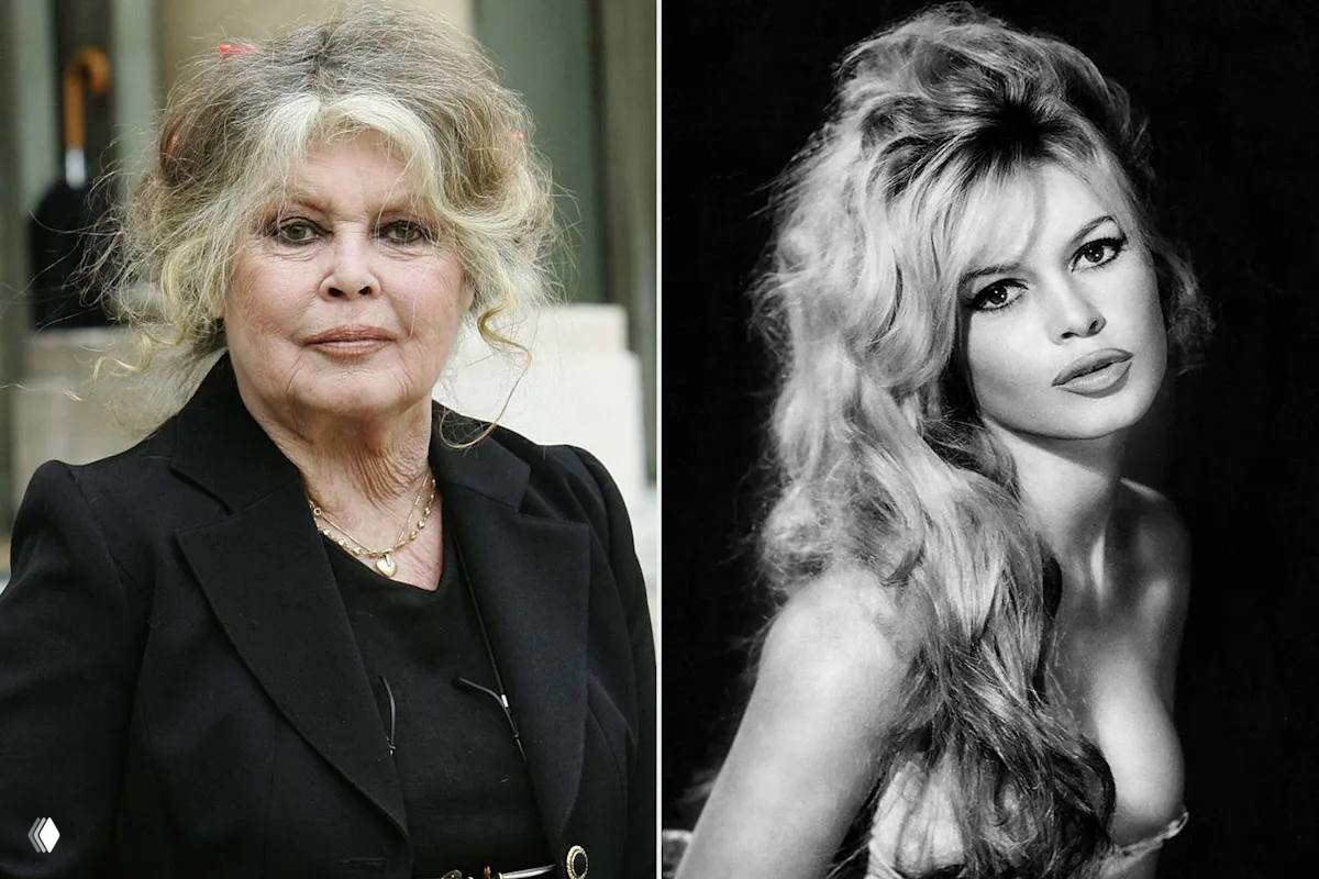 Коллаж из двух портретов Брижит Бардо: современный снимок в пожилом возрасте и чёрно‑белый портрет актрисы в молодости.