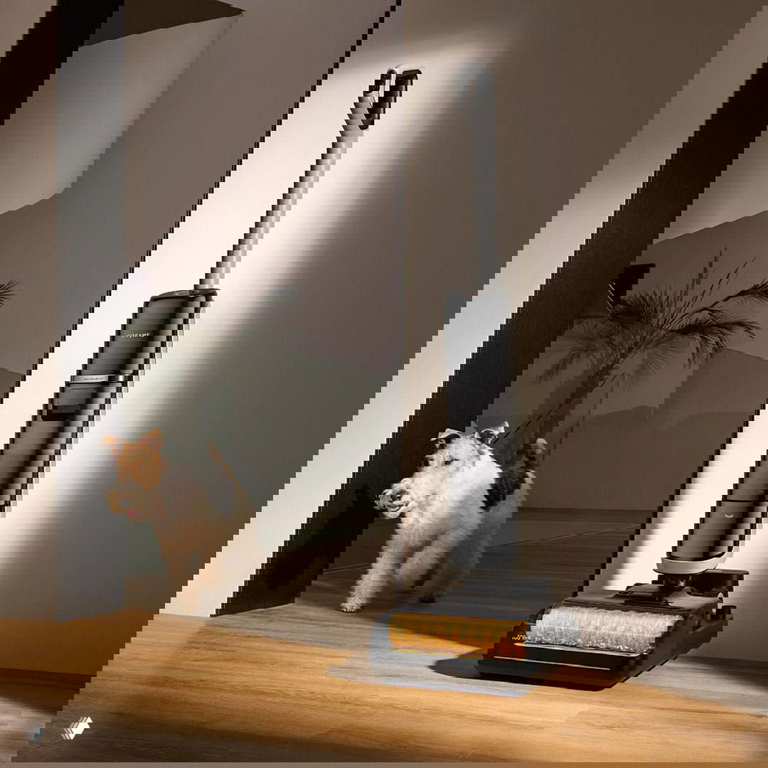 Умная техника Dreame как подарок на 8 марта