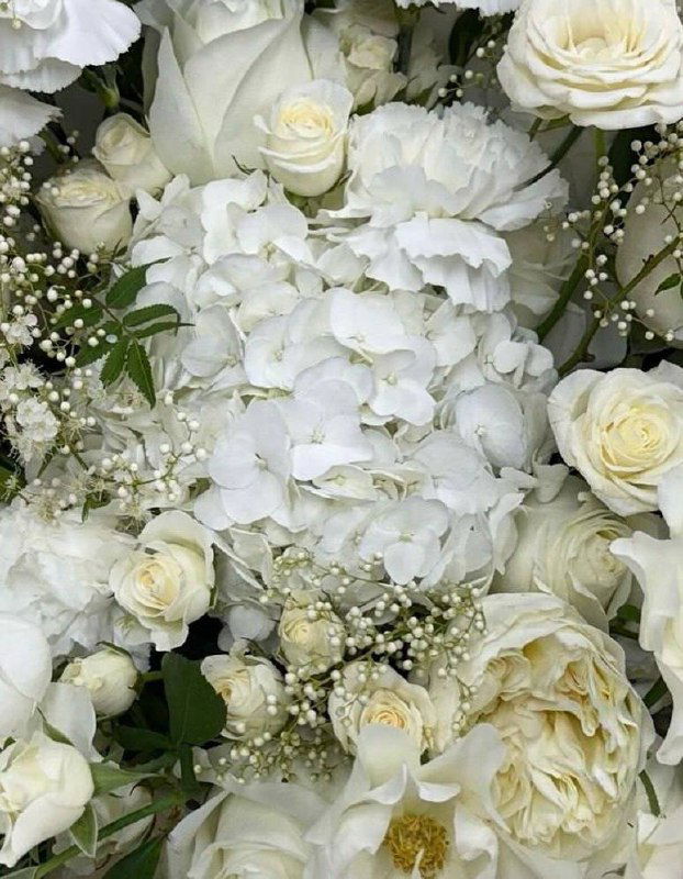 Абстрактное изображение из светлых белых и бледно-жёлтых цветов, выглядящее как художественно обработанная цветочная текстура для фонового кадра.