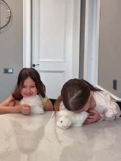 Две девочки за светлым столом: одна улыбается в камеру, другая прячет лицо за мягкой игрушкой, реакция на новость.