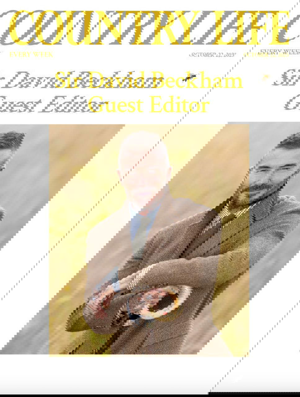 Дэвид Бекхэм желает вам отличного дня