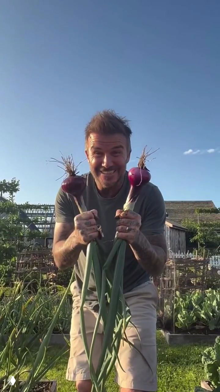 Дэвид Бекхэм снова хвастается своим огородом