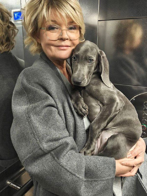 Юлия Меньшова показала щенка веймаранера