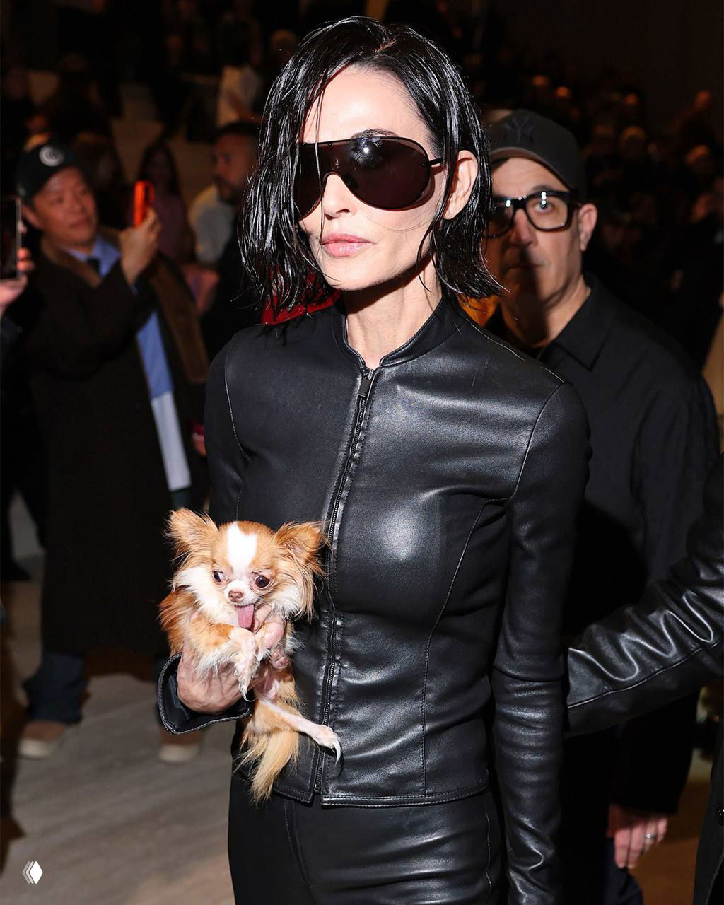 Деми Мур на показе Gucci: чихуахуа Пилаф в центре внимания