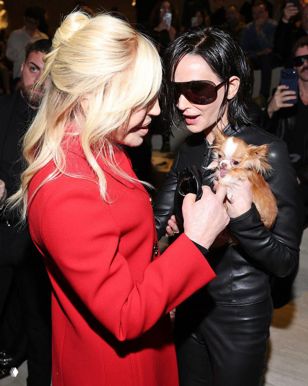 Два человека общаются в фойе модного показа, одна держит маленькую рыже‑белую чихуахуа — живые кадры с мероприятия Gucci