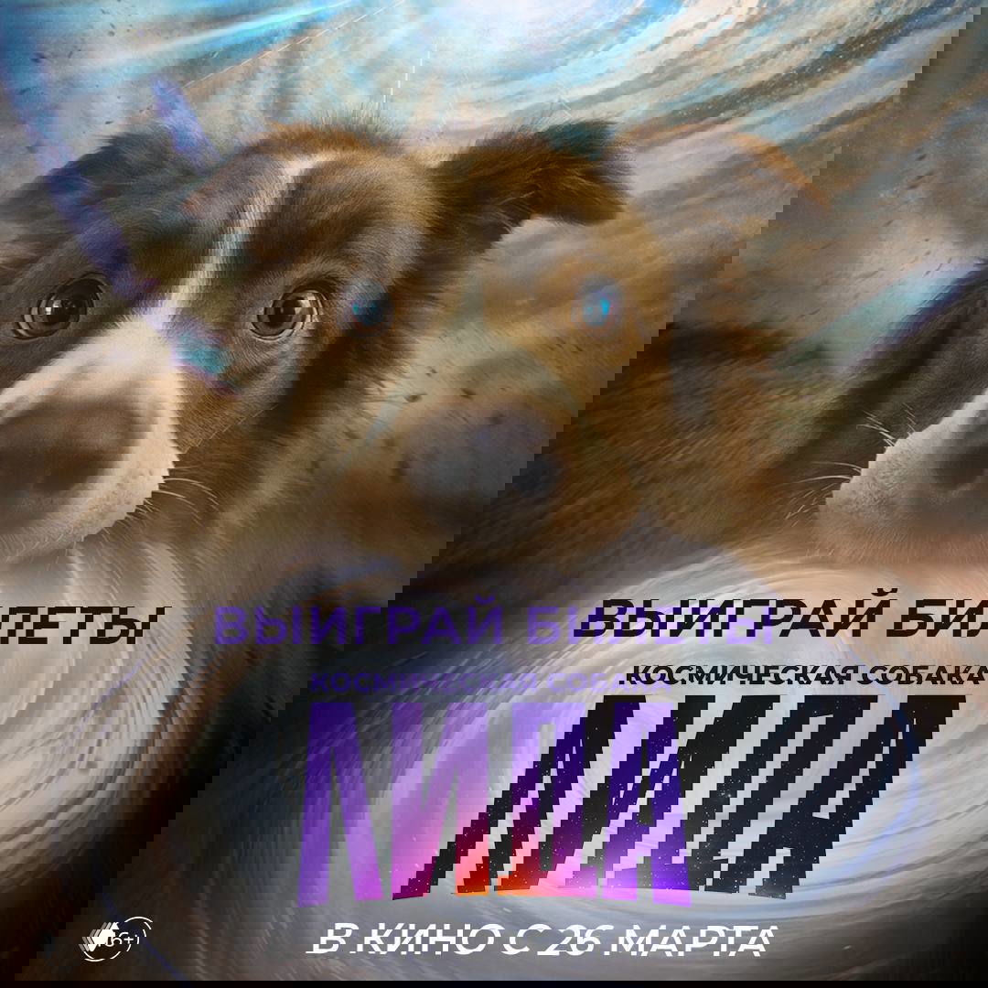 Woman.ru разыгрывает билеты на «Космическая собака Лида»