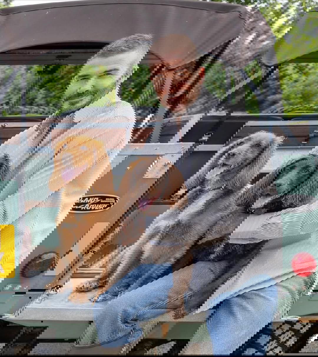 Мужчина сидит на задней платформе внедорожника рядом с двумя охотничьими собаками, видна зелень и деревья вокруг