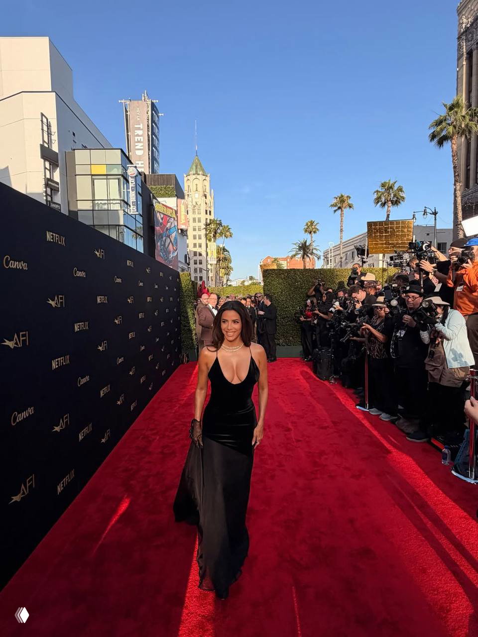 Женщина идёт по красной дорожке в длинном чёрном платье, по бокам фотографы и киносъёмочная зона, яркий дневной свет.