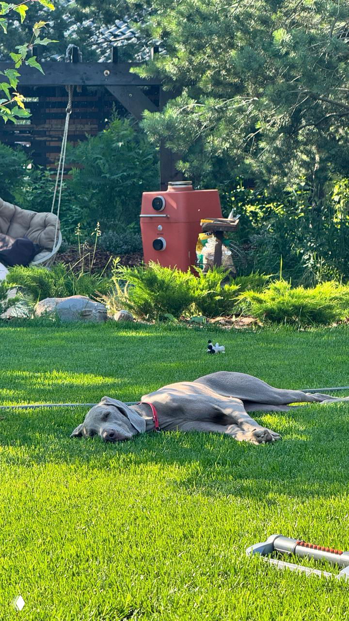 Итоги, часть 2: Семья и личное