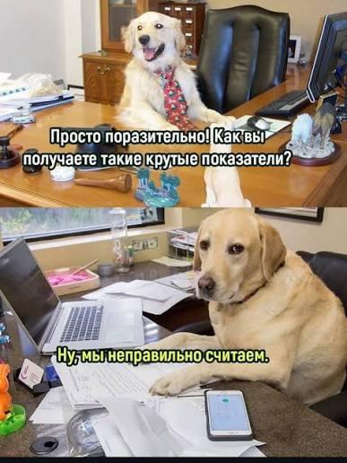 Самая тупая статистика ever: рынок рекламы Max