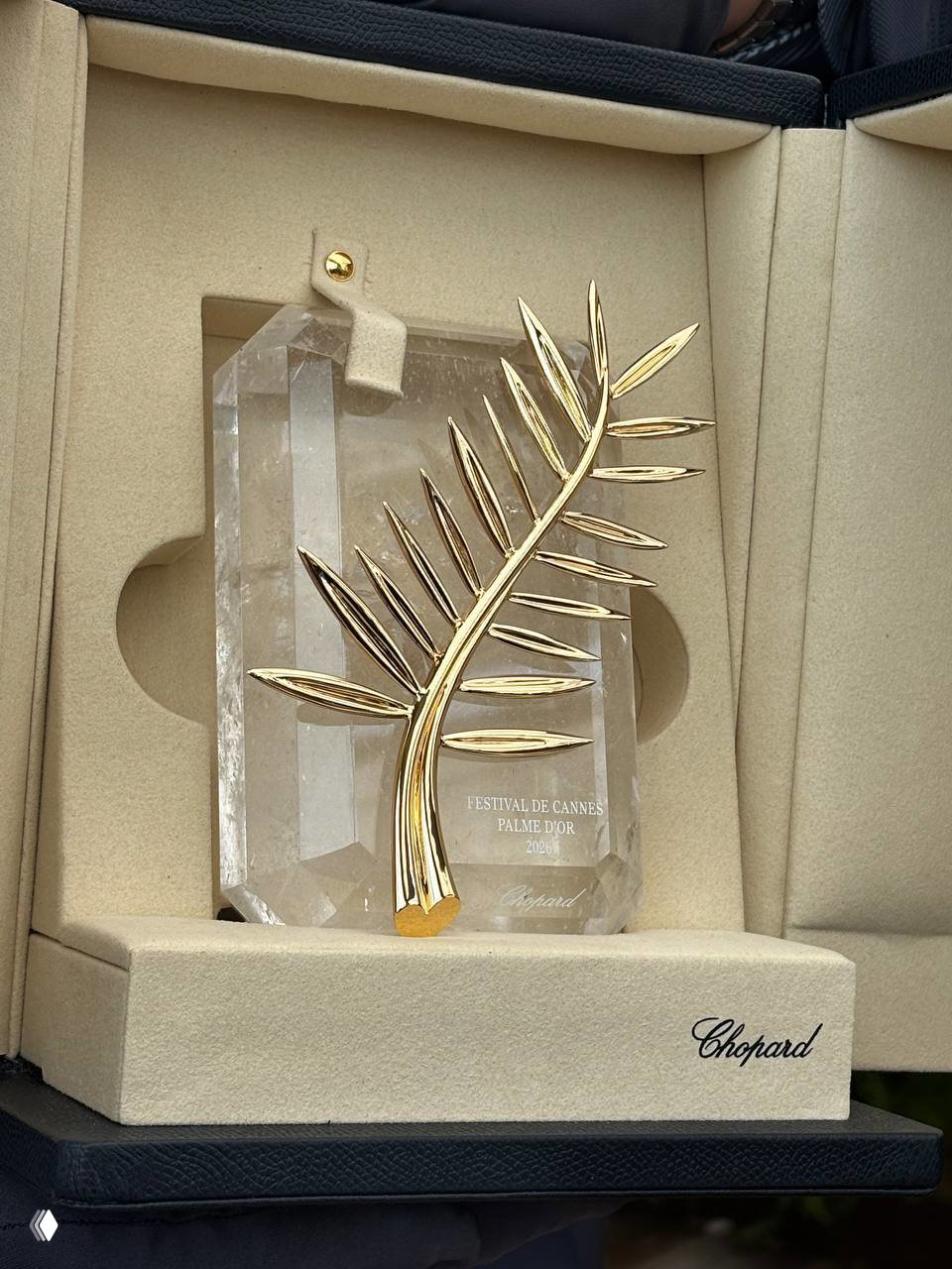 Крупный план Пальмовой ветви в фирменном бежевом футляре Chopard: золотая ветвь на кристаллической подставке с гравировкой Festival de Cannes и логотипом.