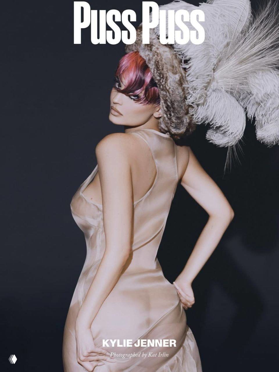 Полутона и наложение крупного портрета на фигуру модели в прозрачном топе с длинными волосами, стилизованный художественный кадр.