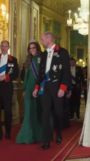 Пара гостей идёт по ковровой дорожке внутри дворцового зала: женщина в изумрудном платье и мужчина в парадной форме на банкете.