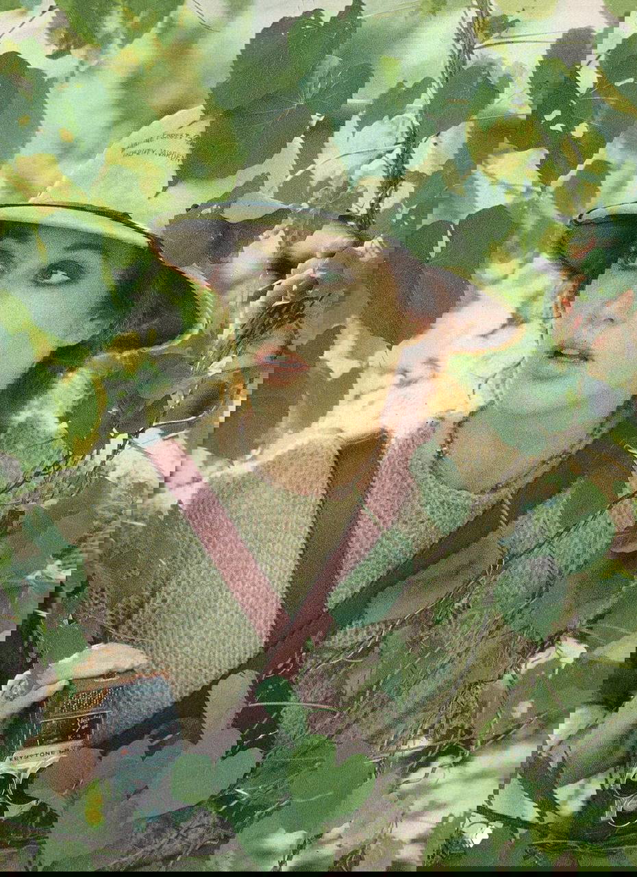 Крупный план шляпы и других аксессуаров на деревянном столе у палатки — реквизит и детали винтажной съёмки, подчёркивающие походную эстетику.