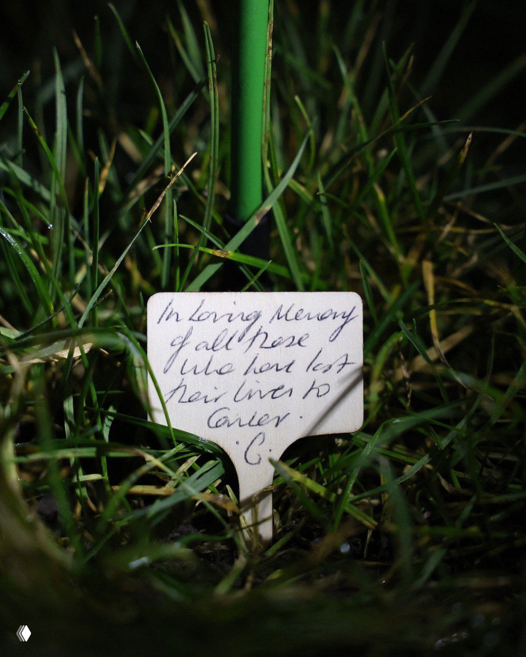 Ручная надпись на табличке у одной из светящихся роз: небольшая памятная посвящённая записка в память тех, кто погиб в борьбе с раком.