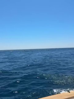 Панорамный вид открытого Средиземного моря с голубым небом и лёгкими бликами на волнах, без людей на переднем плане.
