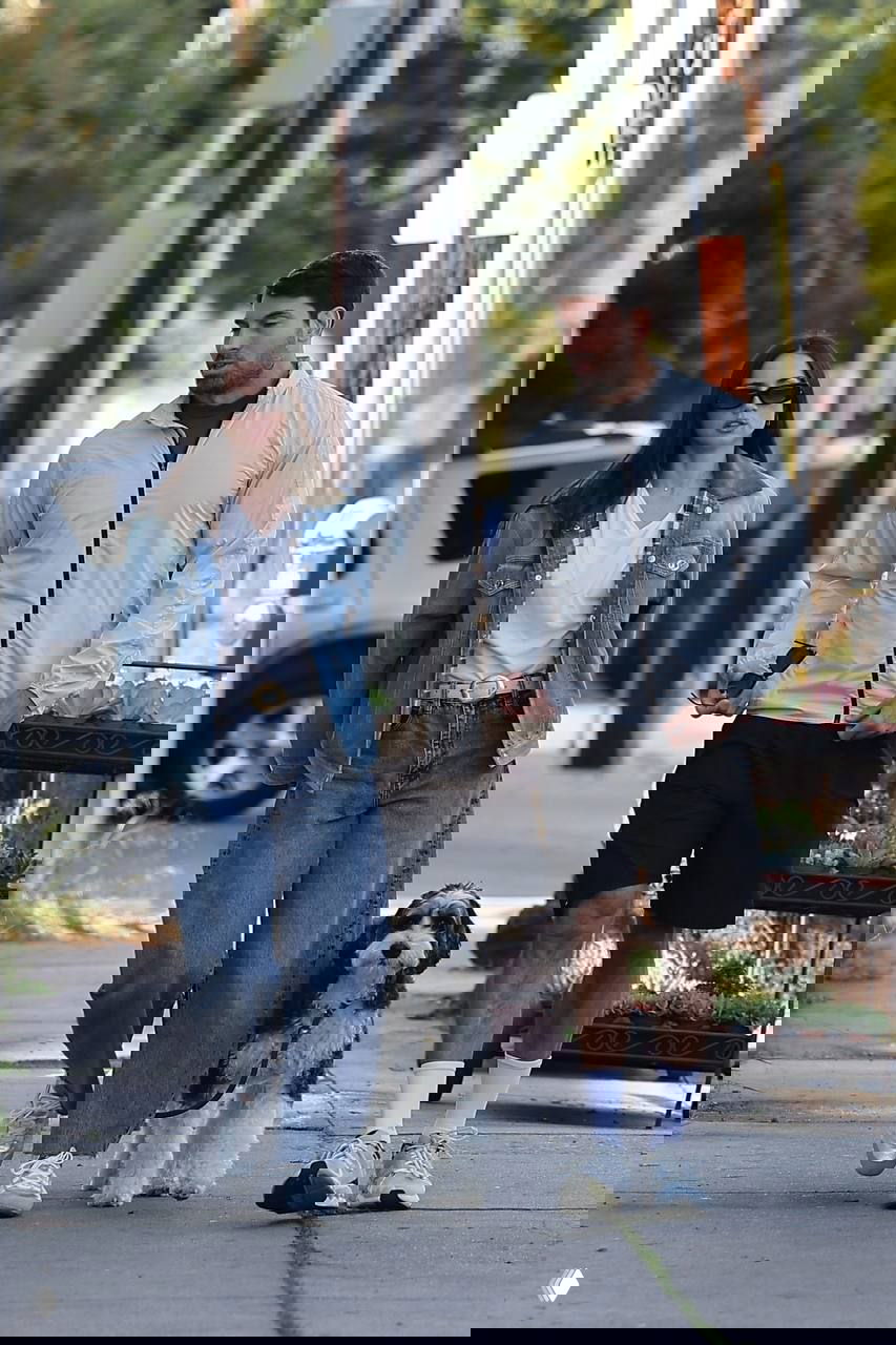 Уличный кадр: женщина в джинсовой куртке идёт по тротуару рядом с мужчиной и собакой, городской зелёный фон и солнце.