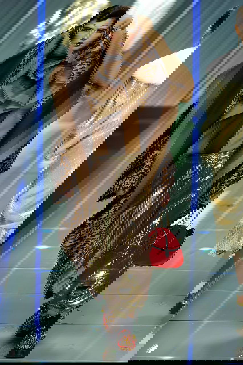 Образ Dior 2004 в коричневых и леопардовых тонах: платочный воротник, леопардовый принт и блестящие золотистые брюки на подиуме.