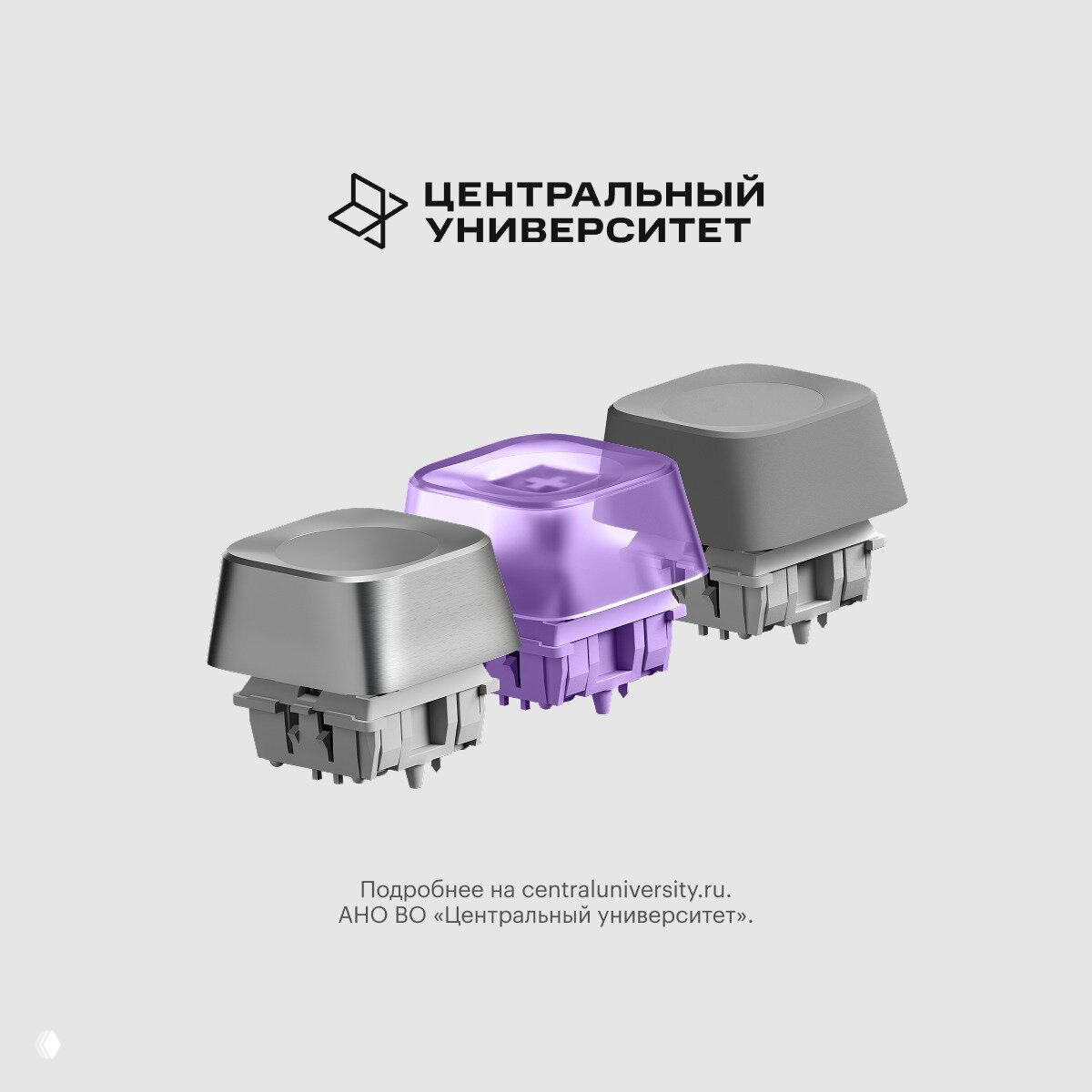 Получи грант до 3,48 млн в Центральный университет