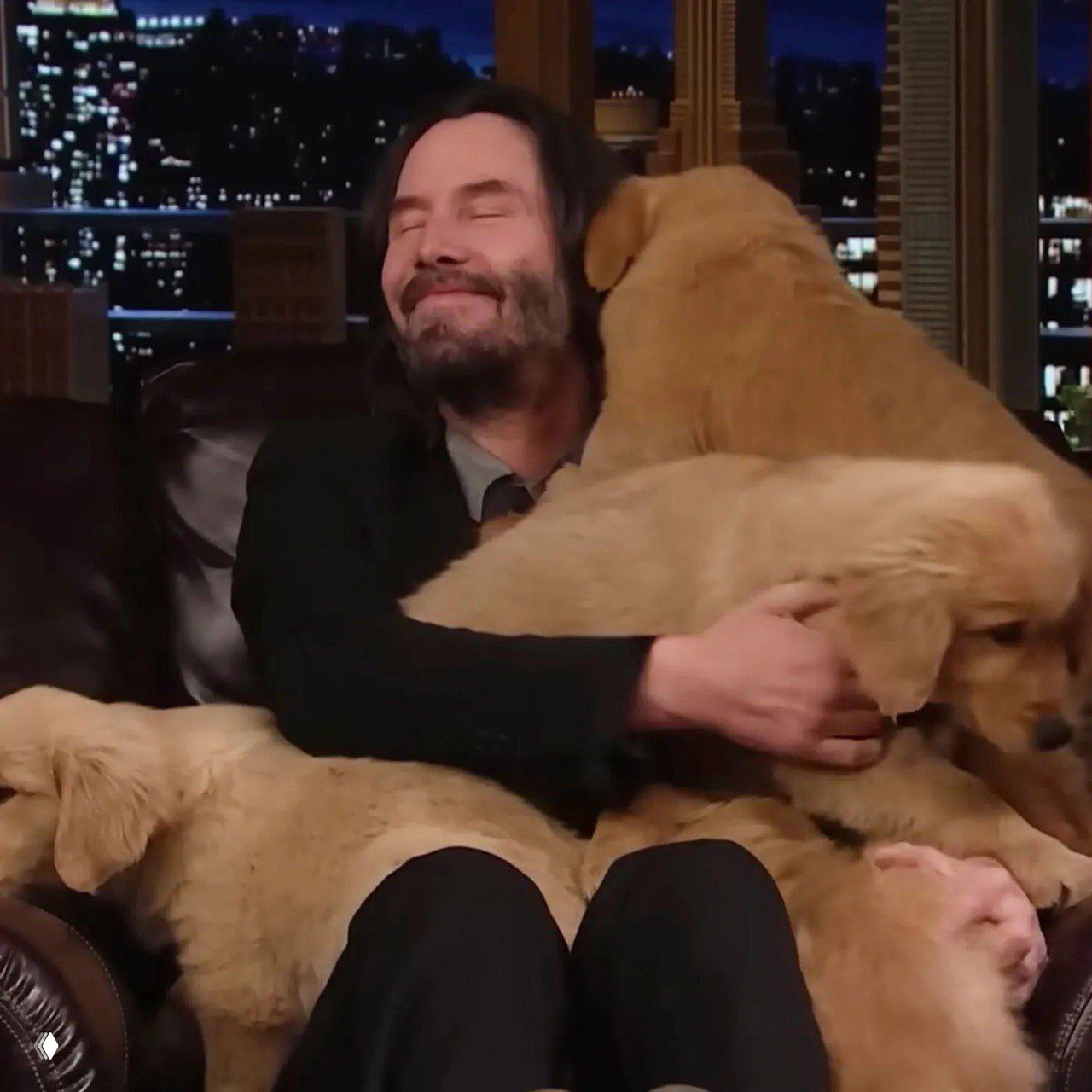 Киану Ривз открыл крупнейший приют для животных