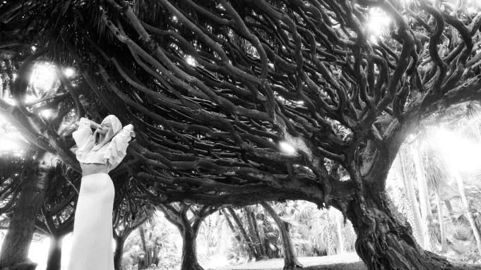 Черно-белый ракурс: крупные ветви старого дерева и рука модели создают концептуальную композицию как завершающий кадр серии для глянцевой съёмки.