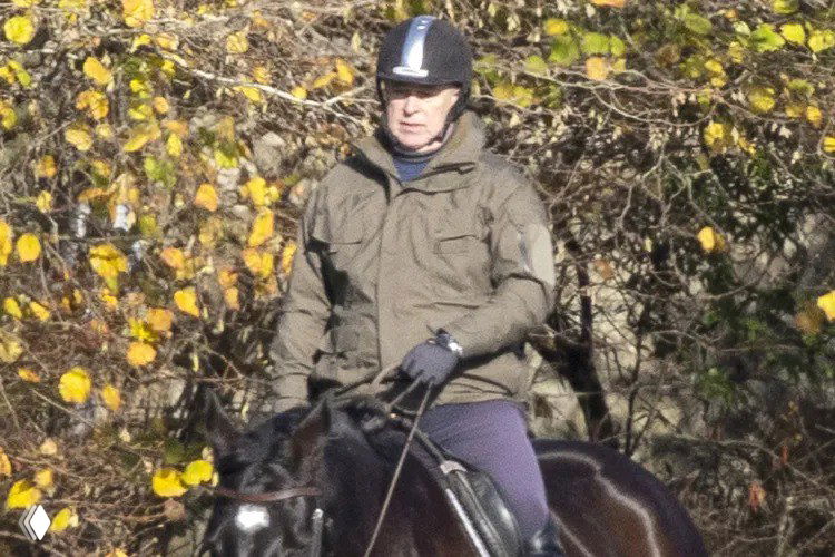 Эндрю пока не выселили из Виндзора