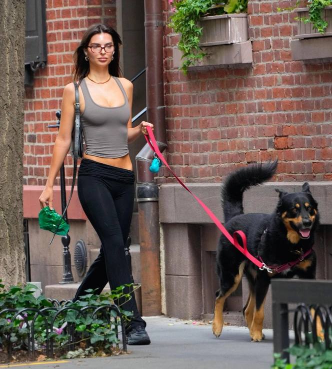 Повседневный уличный кадр: простая серая майка, леггинсы и прогулка с большой собакой, непринуждённый повседневный стиль