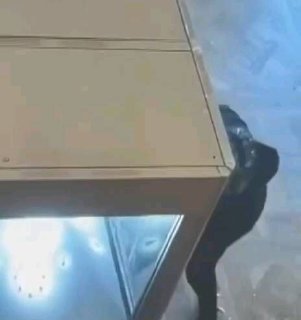 Кадр с видеозаписи ограбления в Лувре: силуэт человека в тёмной одежде рядом с витриной музея, видно разбитое стекло и ракурс сверху.