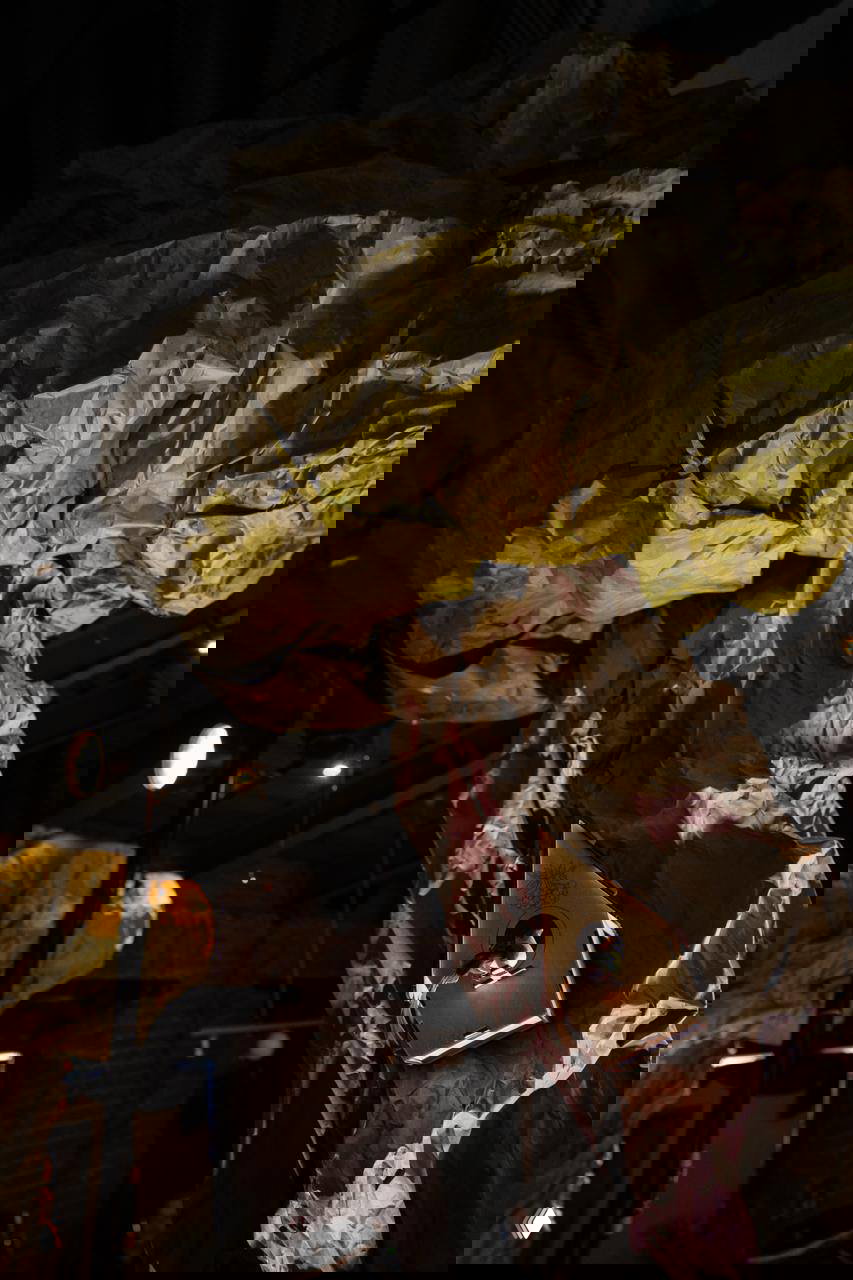 Декорация в виде большого бумажного дерева с подсвеченным домиком — часть оформления экспозиции на презентации фильма «Крылья любви».