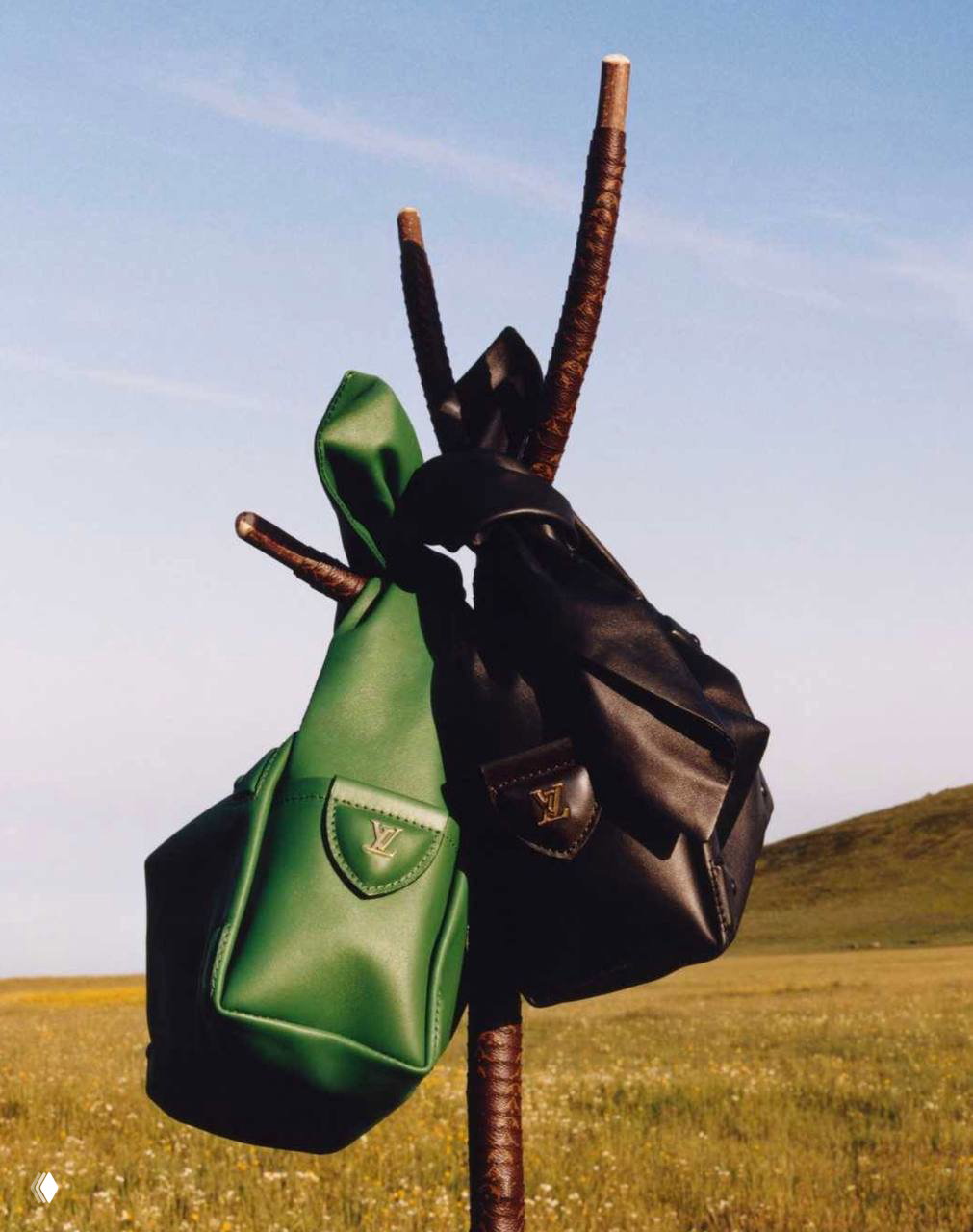 Две сумки Louis Vuitton необычной формы — зеленая и черная модель, подвешенные на деревянной палке на фоне неба и степи.