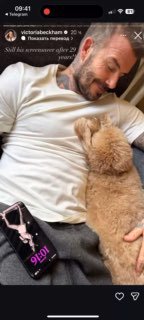 Скриновая сторис: Дэвид Бекхэм лежит с котом на груди — непринуждённый кадр из домашней обстановки с подписью сторис.