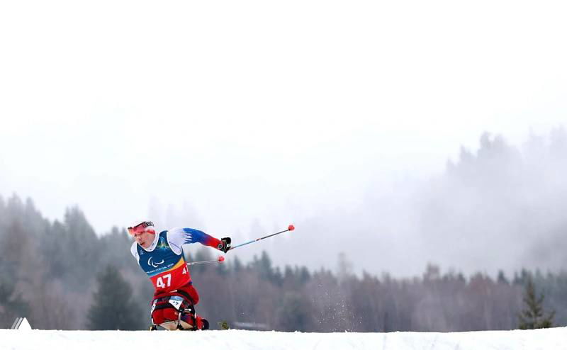 Паралимпийский лыжник в процессе скоростного спуска, снежный трек и размытые хвойные склоны на фоне — спортивная гонка на высокой скорости.