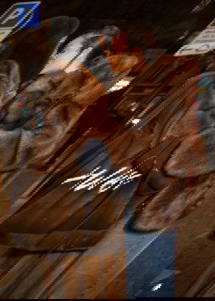 Рианна целует A$AP Rocky на улице Парижа; оба в коричневых меховых шубах, кадр снят в вечернем городском антураже с мягким светом.