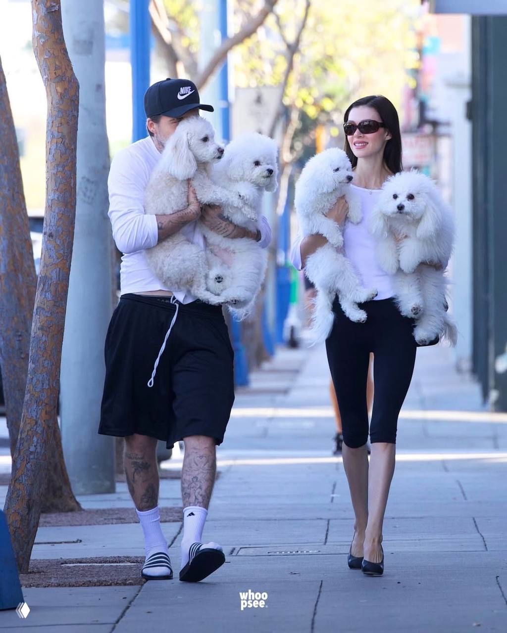 Пара идёт по улице: мужчина и женщина несут белых пушистых собак в руках на фоне городского пейзажа и прохожих; фото папарацци.