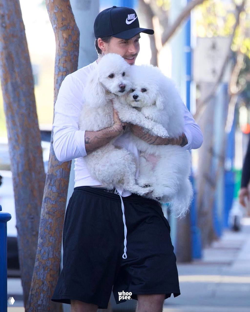 Мужчина держит двух белых пушистых собак в объятиях на тротуаре; кадр крупным планом с городским фоном и солнечным светом.