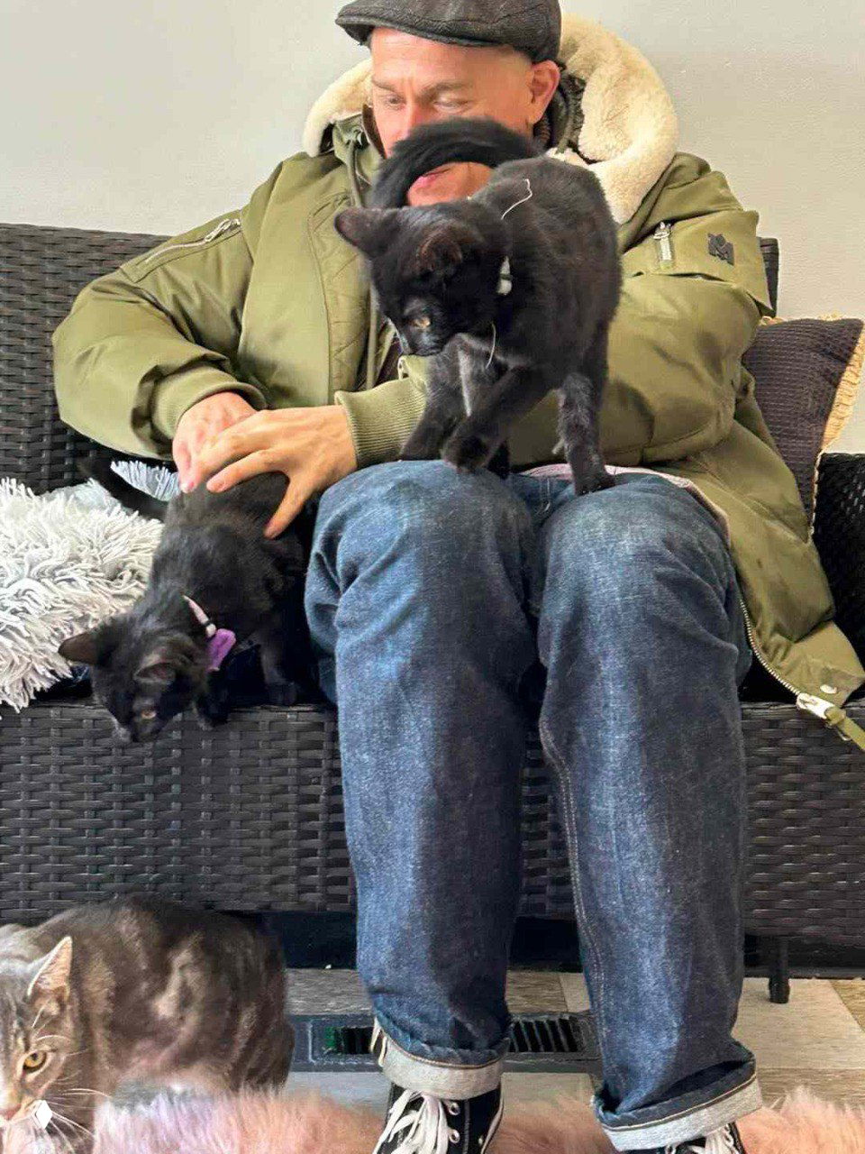 Чарли Ханнэм забрал из приюта Cat Oasis двух котов