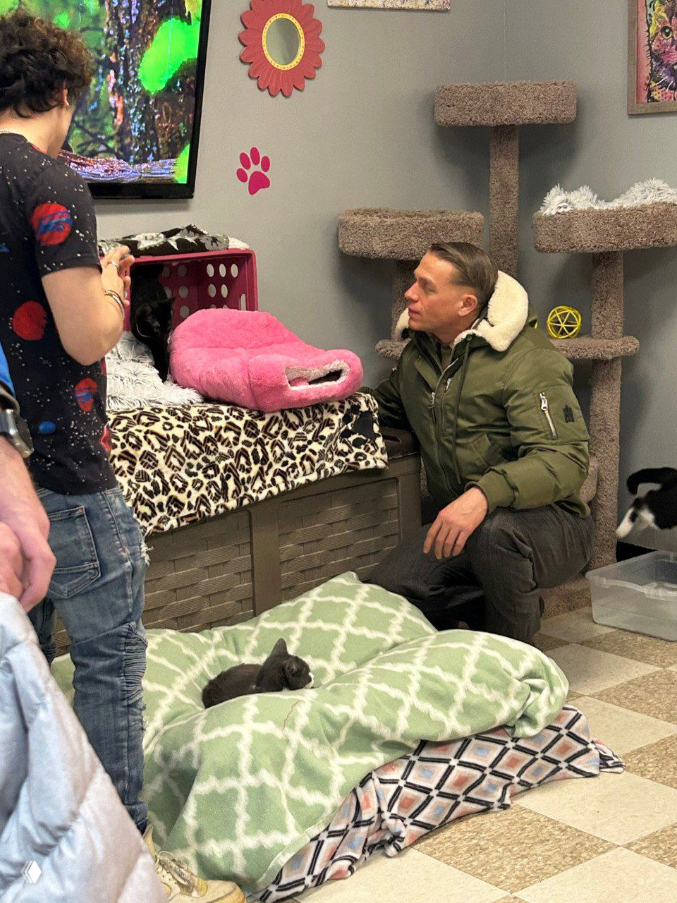 Ханнэм присел рядом с волонтёрами в комнате приюта, на полу лежанки и несколько котят; видно оснащение и уютную атмосферу Cat Oasis.