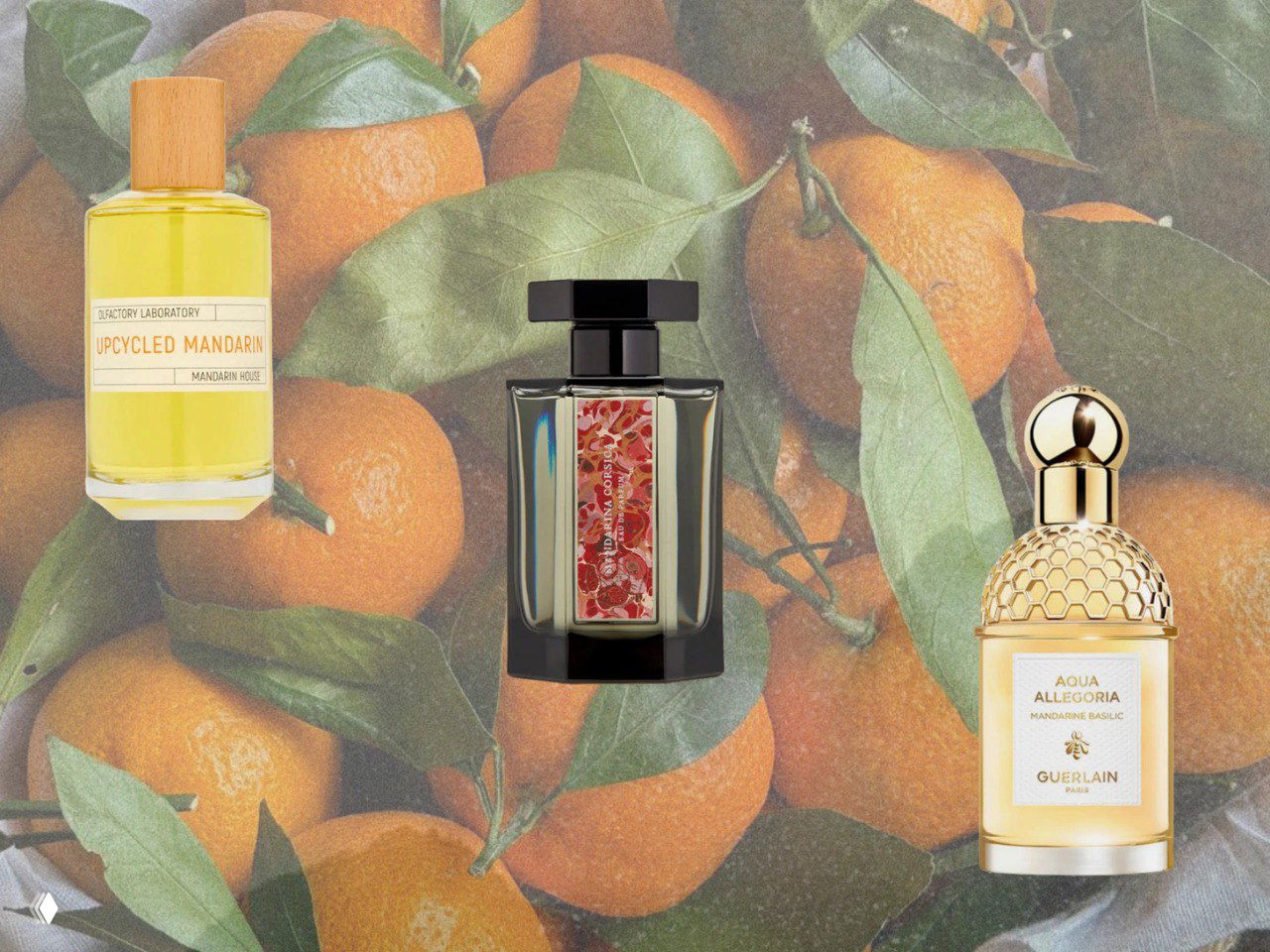 Нота мандарина: какие ароматы сейчас актуальны