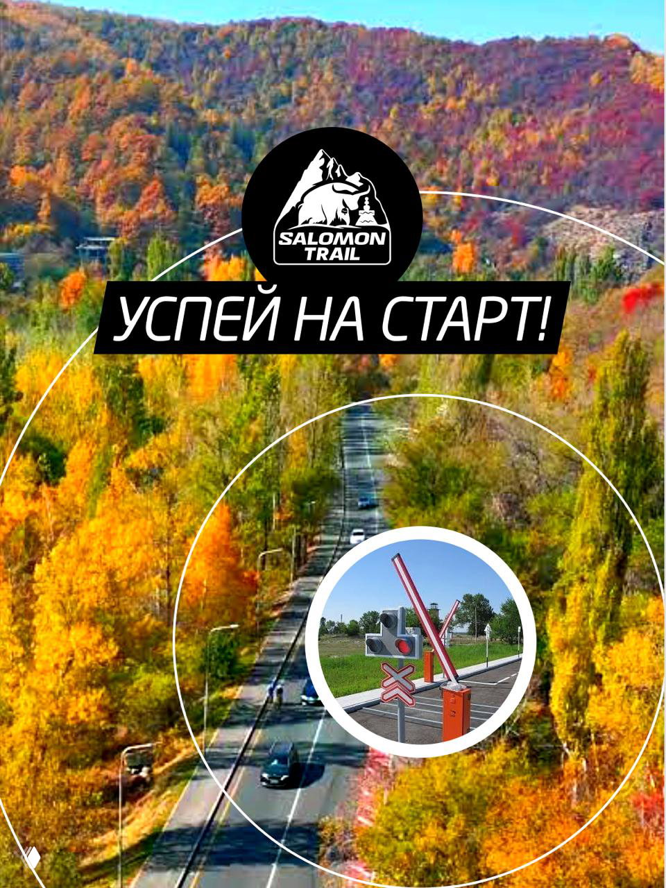 Информация по логистике Salomon Trail