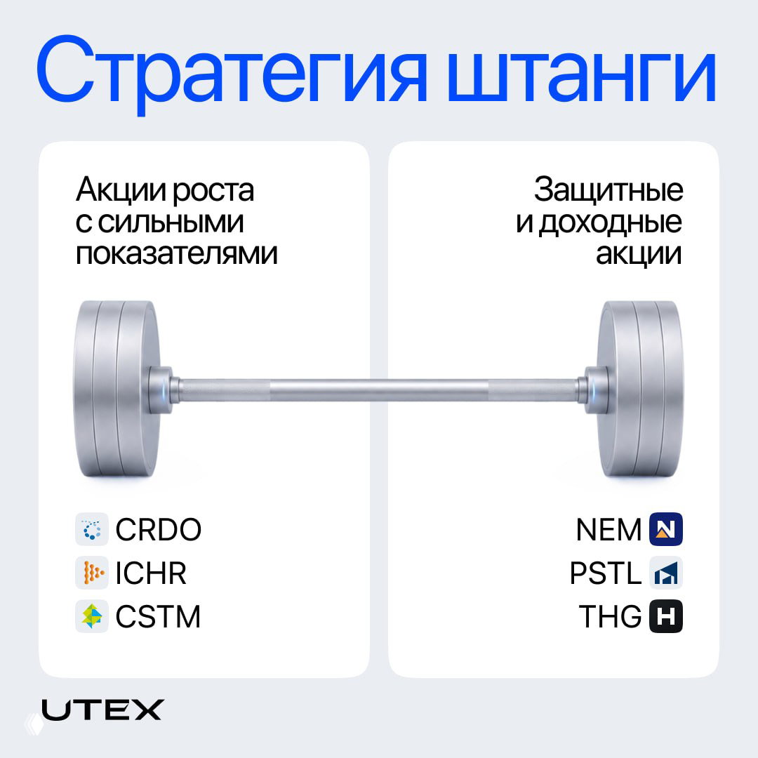 Стратегия штанги: CRDO, ICHR, CSTM и защитные тикеры