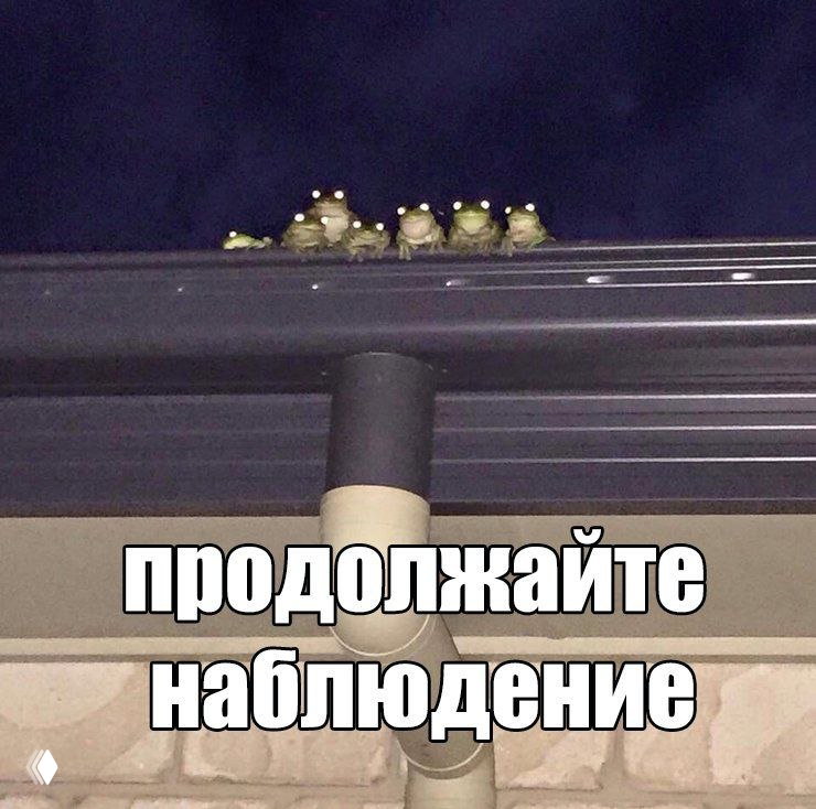 Добавьте эти тикеры в вотчлист