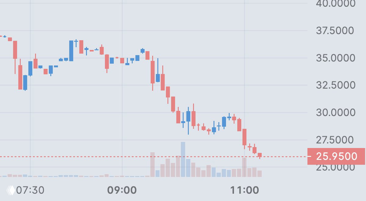 Swarmer — падение акций на 26%