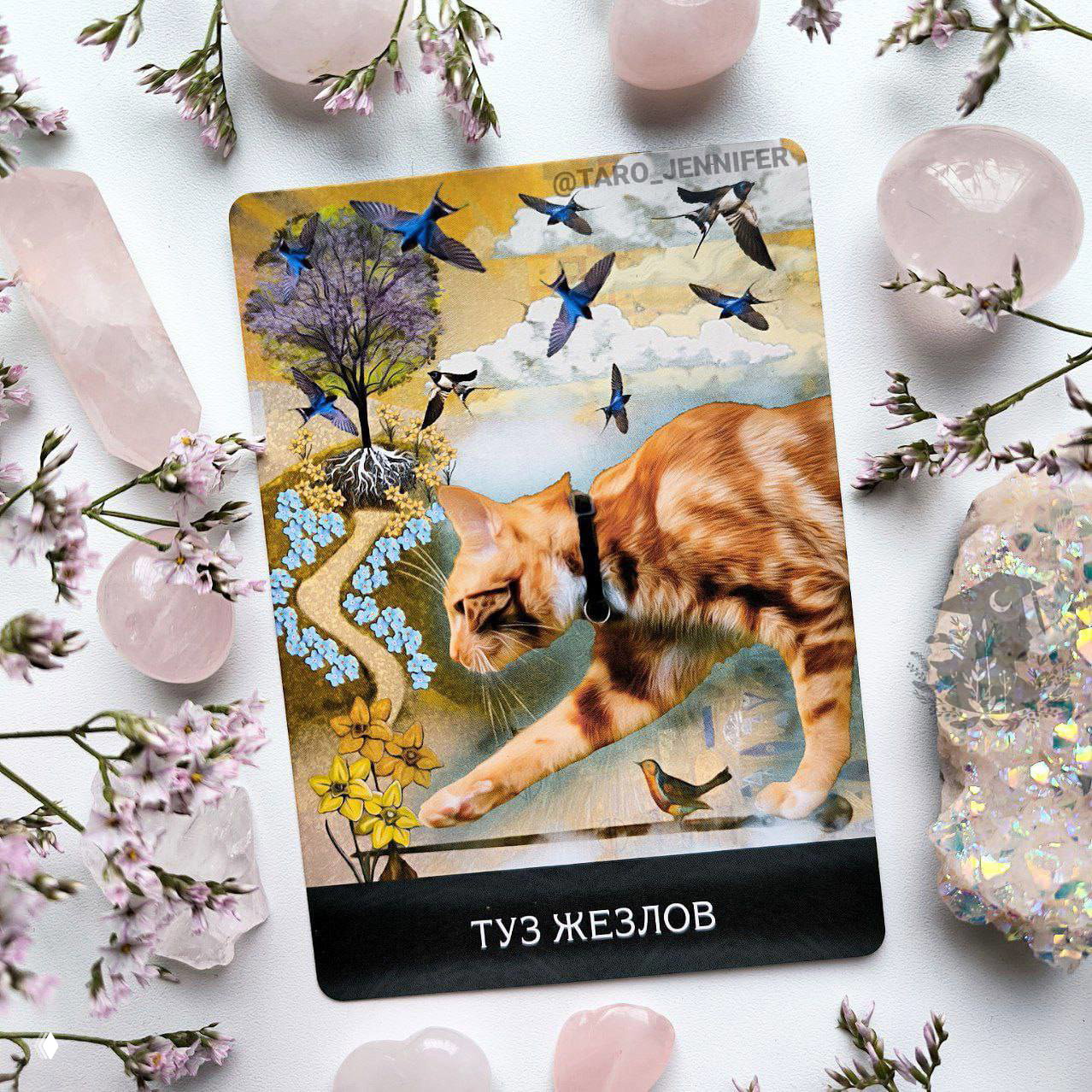 Карта дня. Вторник — Туз Жезлов