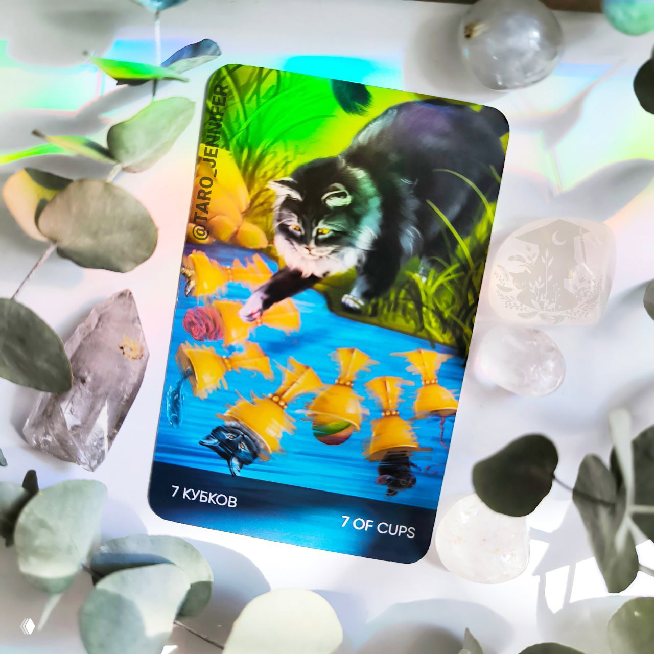 Карта дня. Четверг — 7 Кубков