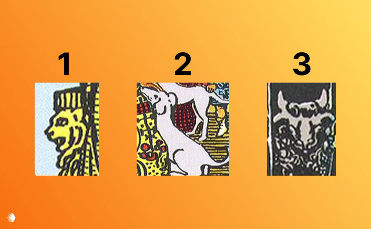 Где-то я уже это видела 👀