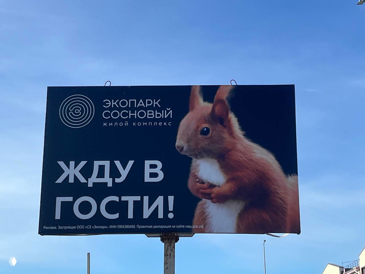 «Скоро пойдем листовки у метро раздавать»