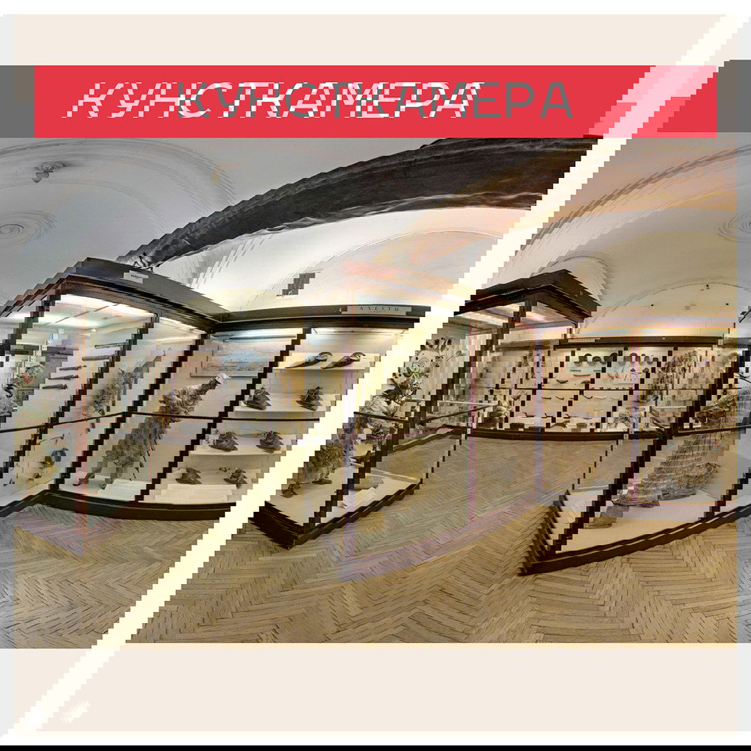 Экспозиционные залы Кунсткамеры с витринами, манекенами и разнообразными этнографическими артефактами в историческом интерьере.